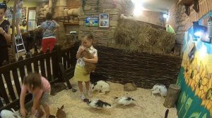 Поход в трогательный зоопарк в Ростове-на-Дону