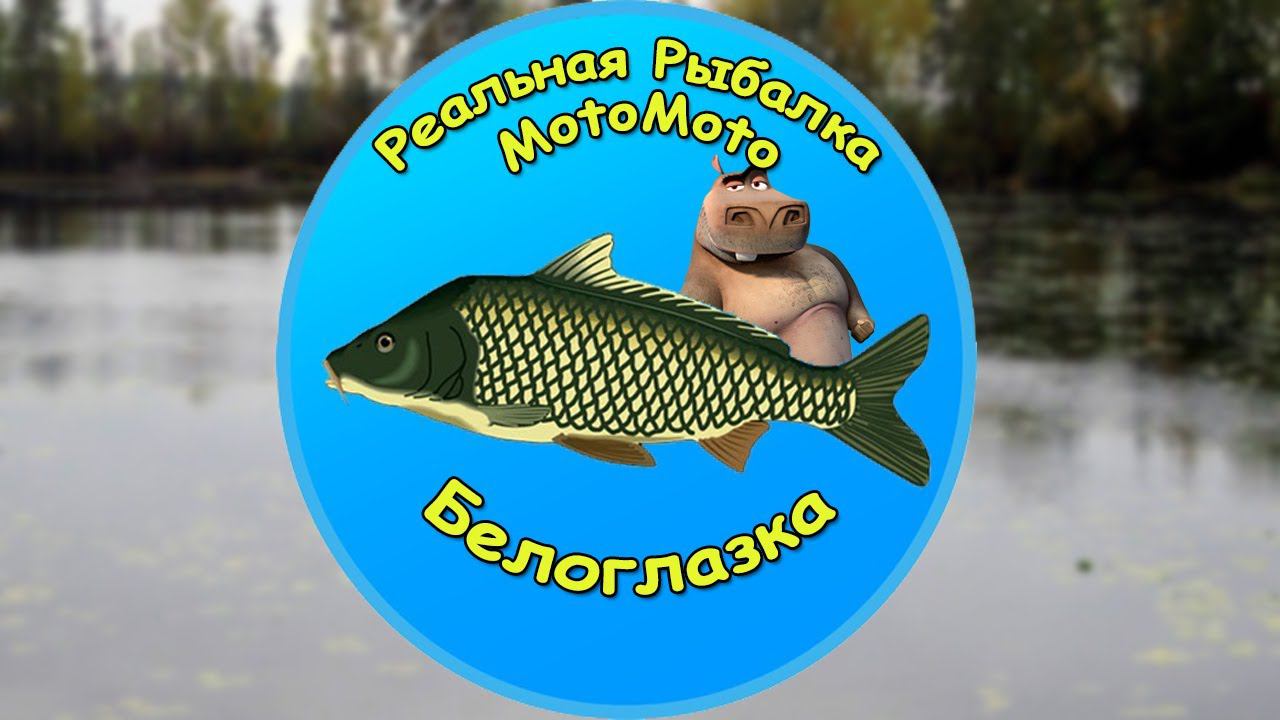 Как поймать Белоглазку на Карасёвом пруду [NEW] | Реальная Рыбалка смотреть онлайн