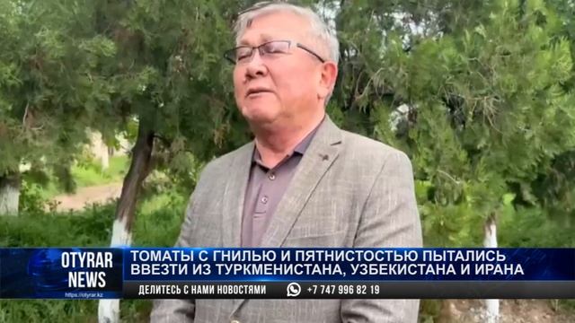 Томаты с гнилью и пятнистостью пытались ввезти из Туркменистана, Узбекистана и Ирана смотреть онлайн
