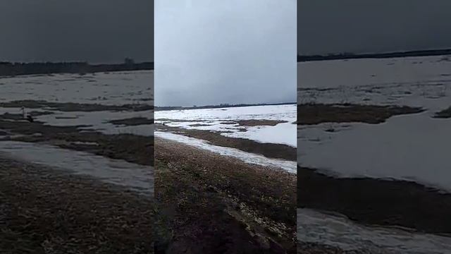 Без страшный аист смотреть онлайн