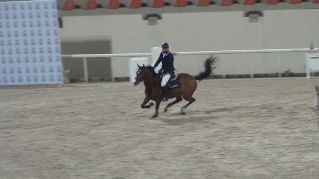 Ahmad Al Ansari Chico Clemens смотреть онлайн
