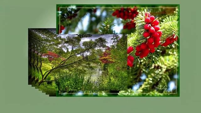 С Днём Рождения Девы смотреть онлайн