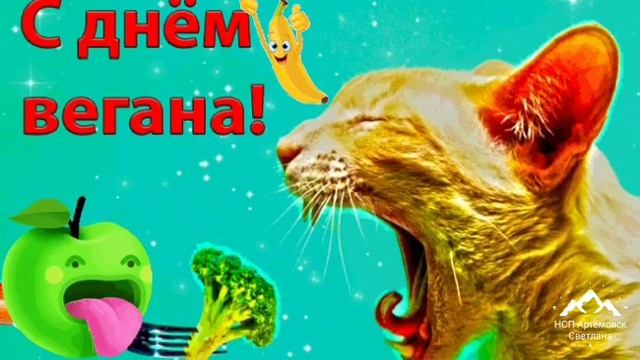 День вегана , a Vegetarian day ! Красивое поздравление с днём вегана ! Классная песня с днём веган смотреть онлайн