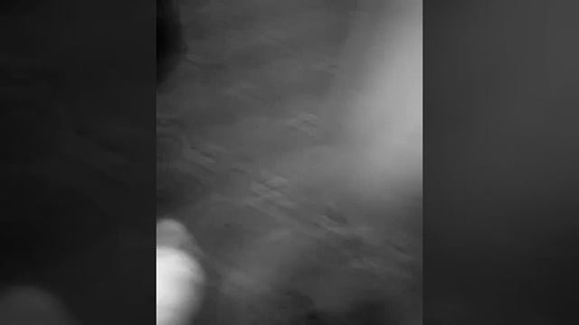 Кот марсик : мой сосед#3 глазами котёнка