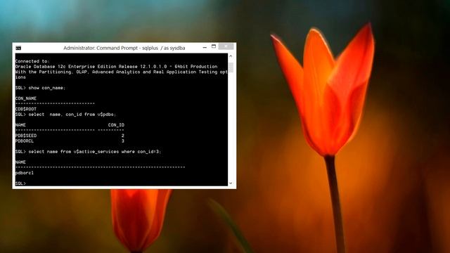 how to install oracle 12c part 3 смотреть онлайн