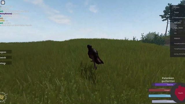 Kelenken Gameplay Cenozoic Survival Roblox смотреть онлайн