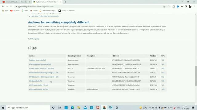 Download and install python version 3.10.2 on windows 10 смотреть онлайн