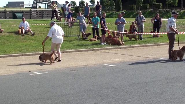 Prat Bretagne 2022 смотреть онлайн