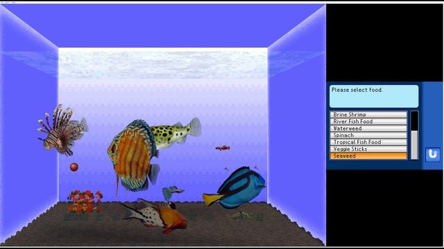 Aquarium by DS - 4K - DS - melonDS - i7 2600 - gtx970 смотреть онлайн