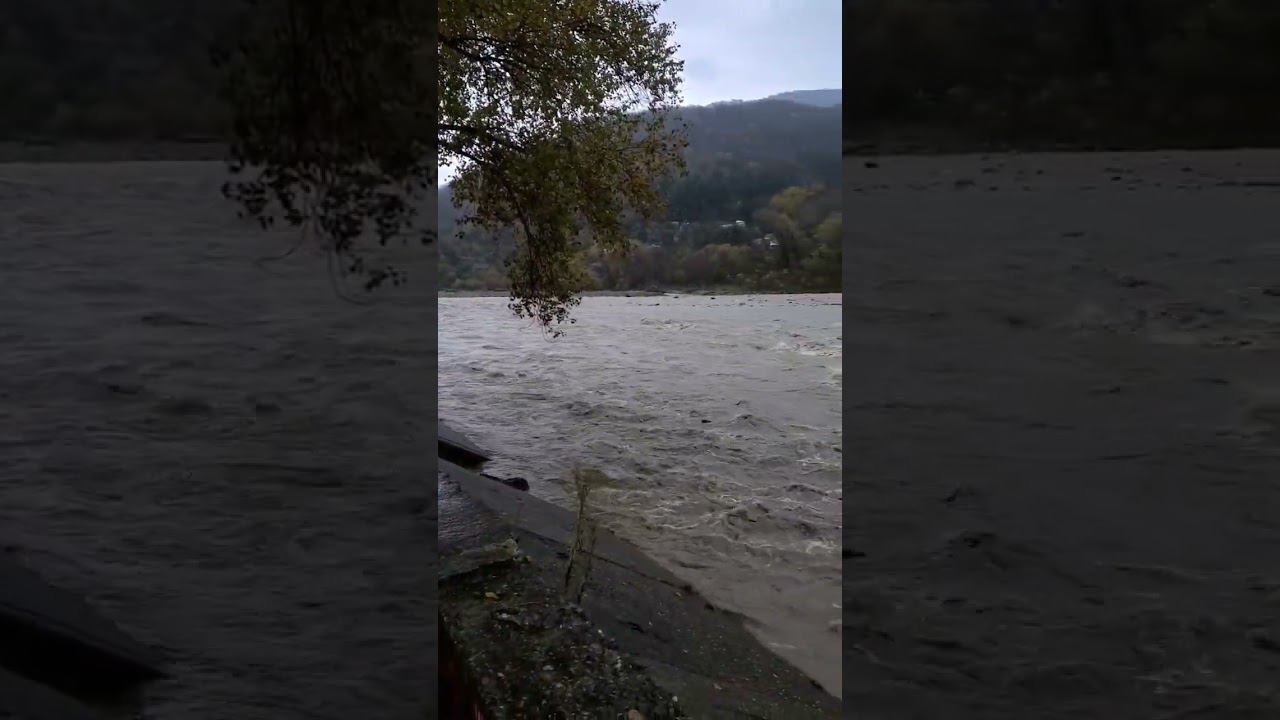 18.11.22 г. Погода Лазаревское #shorts #погодалазаревское #погодасочи #новостисочи #лазаревское2022 смотреть онлайн