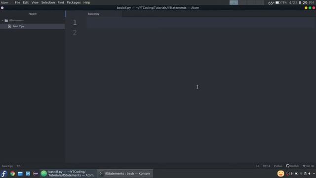 Python Programming Tutorial #3: Basic If Statements смотреть онлайн