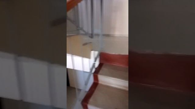 Г.Берёзовский в Подъезде цветы почти на каждом этаже.Ул.Спортивная смотреть онлайн