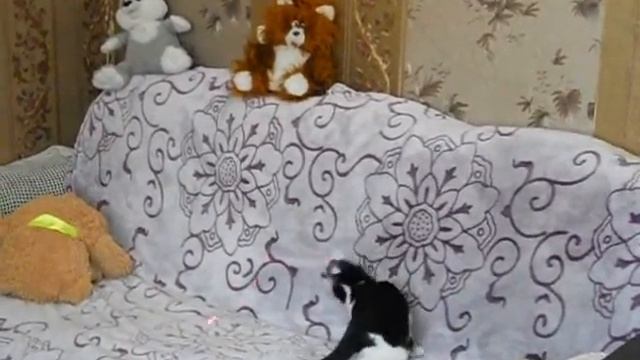 Кот и лазерная указка из Фикс прайс смотреть онлайн