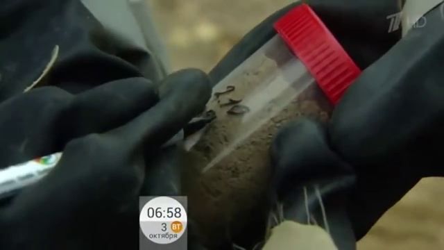 girls in l1 from Первый в Росгвардии РХБЗ смотреть онлайн