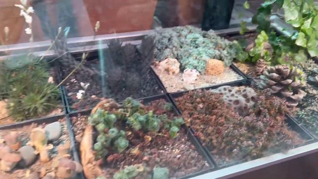 💃🏼🕺🏼Наши супер выходные💃🏼🕺🏼 моремания ⚓️ аптекарский огород 🌵гончарная мастерская 🏺