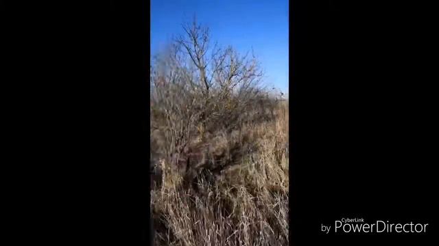 Закрыли сезон охоты по перу!!! смотреть онлайн