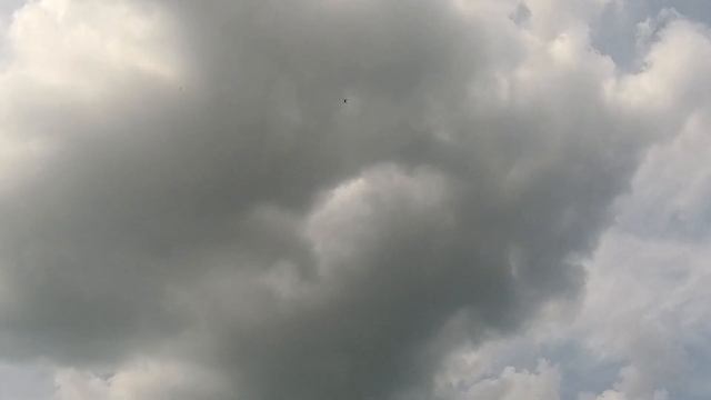 DutchRC RIPLEY - Ultimate 6S Freestyle FPV Quad - P1: Test Flights смотреть онлайн