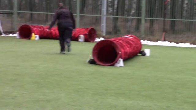 Гай, Бамс и Антоша на туннельных соревнований 19.12.2015 смотреть онлайн