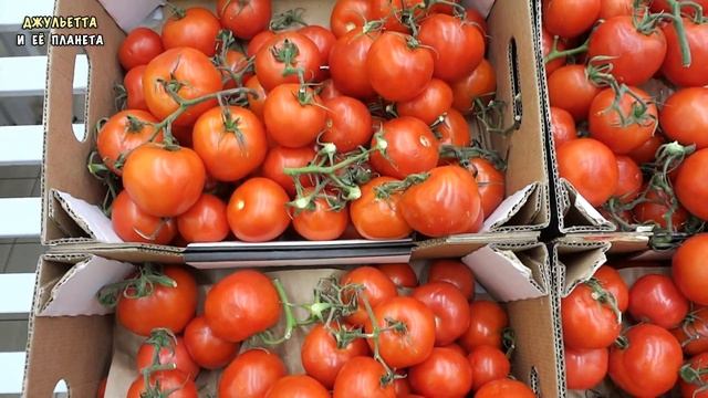 ПИТЕР - ЦЕНЫ НА ЕДУ В МАГАЗИНЕ И КАФЕ 2017 ? ГДЕ ДЕШЕВО И ВКУСНО ПОЕСТЬ?? ОБЗОР ЦЕН НА ПРОДУКТЫ АША смотреть онлайн