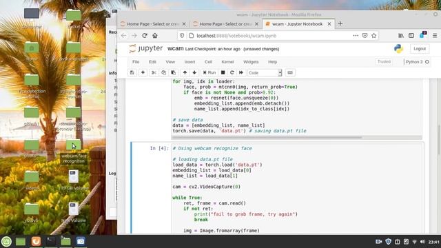 Realtime face recognition, pytorch смотреть онлайн