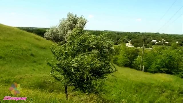 Ставропольский край родной ✦ Красивая песня о родном селе. смотреть онлайн