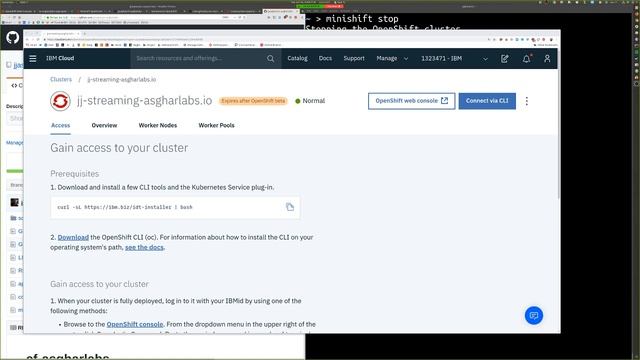 Learning OpenShift and Minishift смотреть онлайн