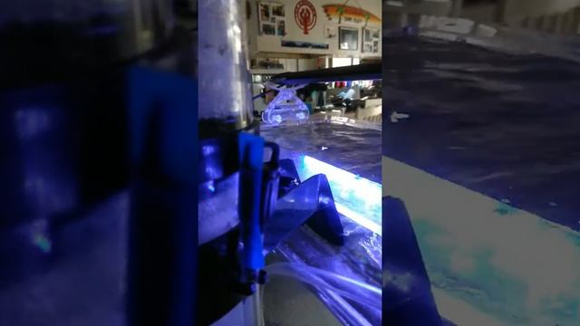 Sea Clone 100 protein skimmer with water bottle mod. смотреть онлайн