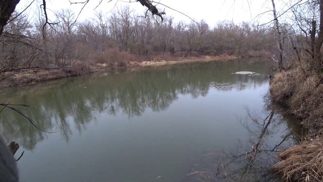 РЕКА ВОРОНА. ЗИМНЯЯ РЫБАЛКА НА СПИННИНГ. смотреть онлайн