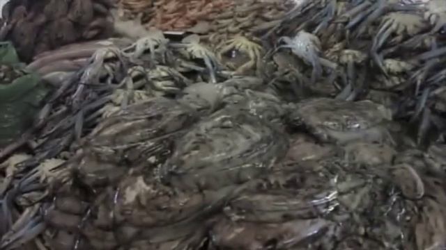 Fish Market Deira Dubai смотреть онлайн
