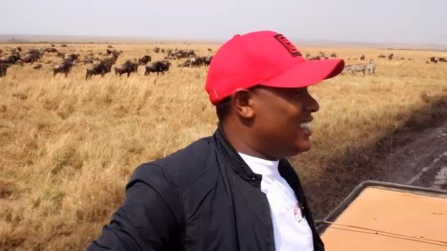 The Maasai Mara Wildebeests Migration EP3 смотреть онлайн