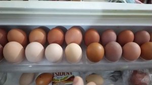 Почему варёные яйца чистятся плохо