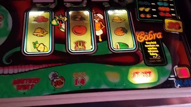 Super cobra unlimited nudge смотреть онлайн