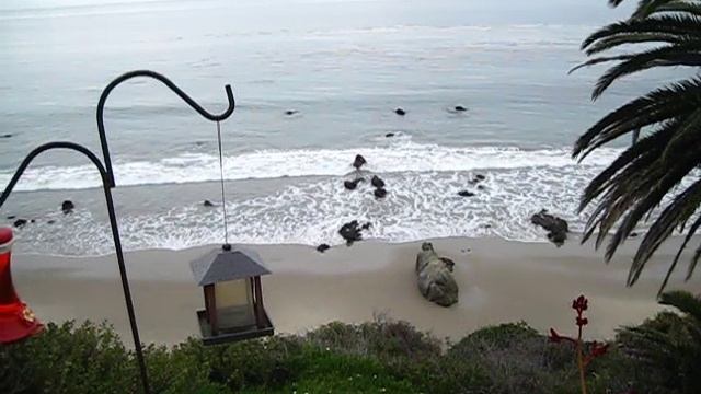 На Броад Бич впервые я увидела частный бассейн!!! смотреть онлайн