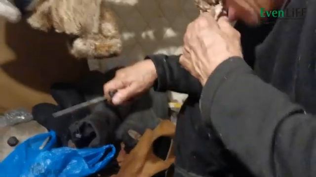 Внутренности (потроха) снежного барана. смотреть онлайн