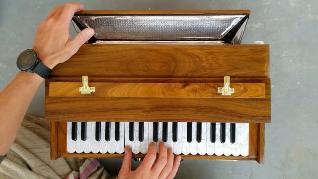 Храмовая Гармошка – Индия смотреть онлайн