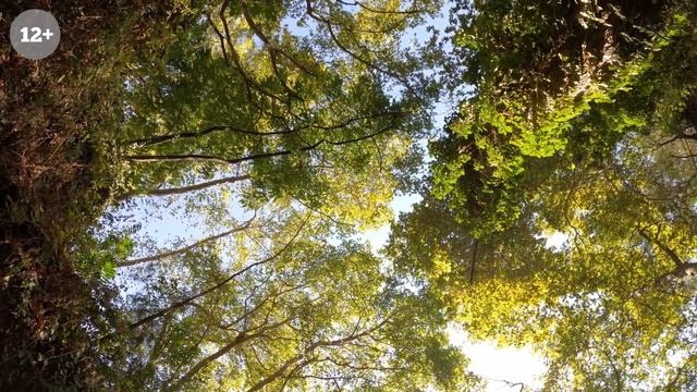 Перед вами откроются все двери. Молитва Джозефа Мэрфи для привлечения желаемых событий смотреть онлайн