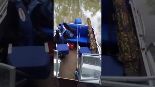 Лодка Тактика 430 DCM смотреть онлайн