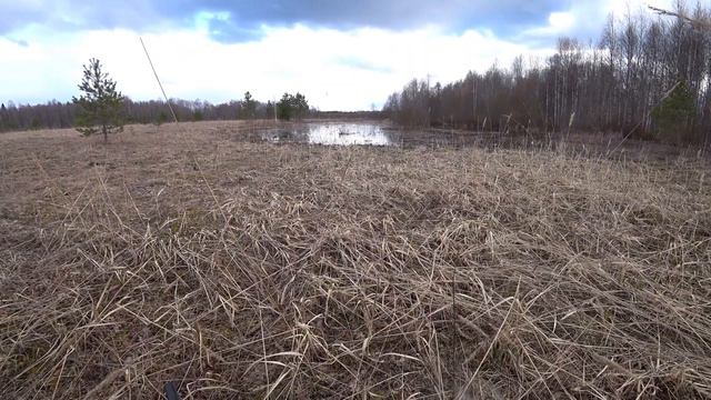 Охота на утку селезня, весна 2021 смотреть онлайн