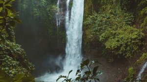 Goblincore music ambient mix for walks in the forest ( гоблинкор музыка для прогулок по лесу )