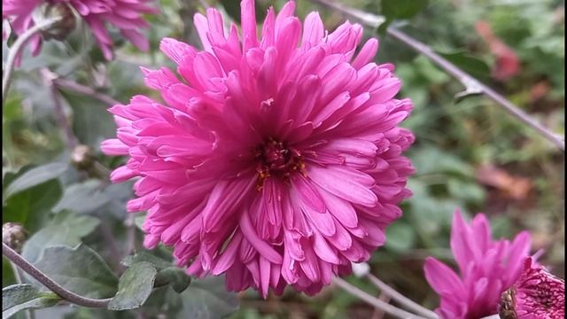 Сделайте это и неприятности отступят | Ритуал от неприятностей смотреть онлайн