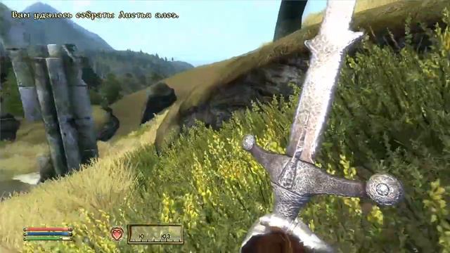 The Elder Scrolls 4: Oblivion-Пророк смотреть онлайн