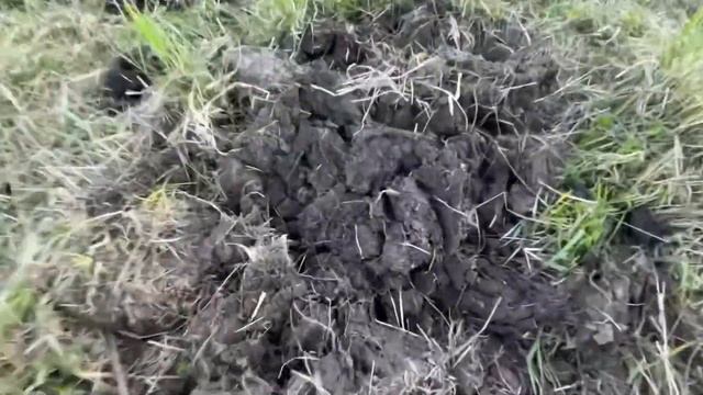 VLOG Выходные на даче ) компостер 800 литров ! 16 мая 2021 года 12 соток Подмосковье смотреть онлайн