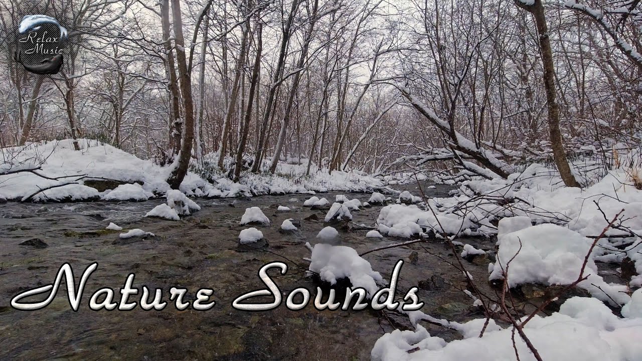 Шум лесной реки для отдыха, сна, медитации. смотреть онлайн