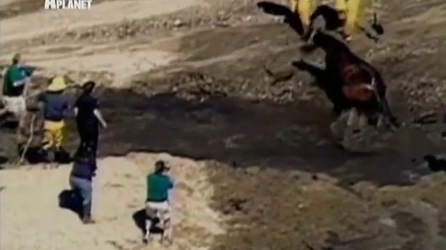 16 Зубы когти ужас смотреть онлайн