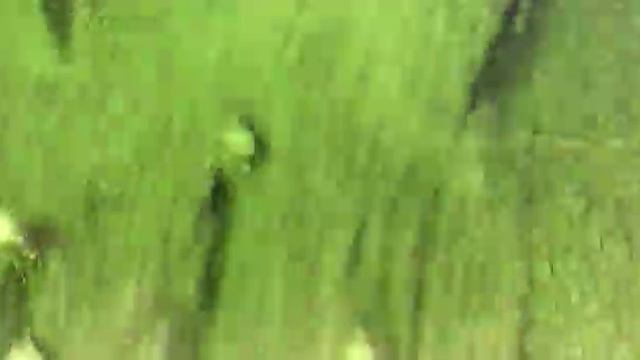 БЕТОНОМЕШАЛКА 3. смотреть онлайн