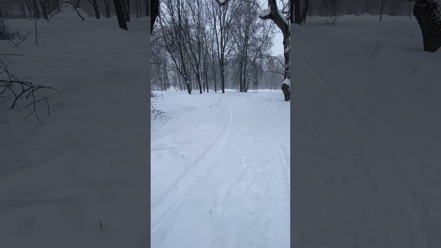 #shorts 15-02-2024 А в Москве метёт... смотреть онлайн