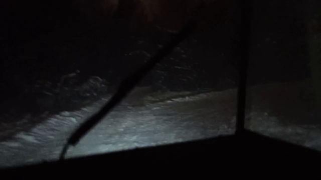 ночные, зимние покатушки в лесу на такси! смотреть онлайн