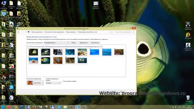 Темы на windows 8 Морские Обитатели | оформление на windows 8 смотреть онлайн
