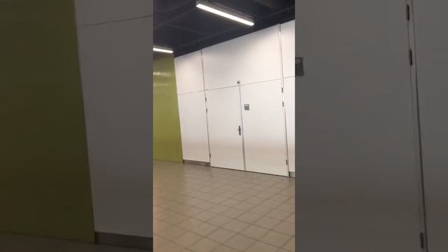 Аэропорт Амстердама Схипхол/09 июля 2018 09:30/своими глазами/www.urist64.ru смотреть онлайн