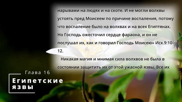 Библия по простому - гл.16 "Египетские язвы", Книга: Дух Пророчества, т.1 - Е. Уайт. смотреть онлайн